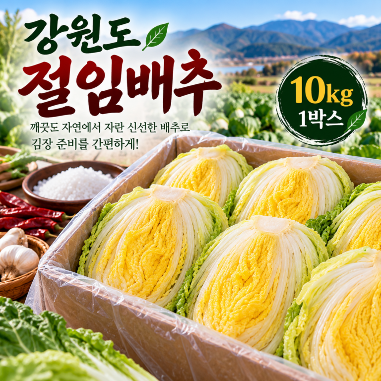 강원도 절임배추 10kg 가격과 김장 준비 정보