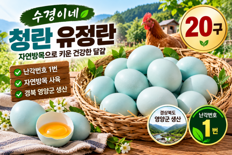 수경이네 청란 자연방목 유정란 20구 가격과 특징