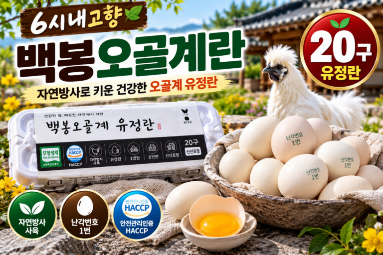 백봉오골계란 오골계 유정란 20구 가격과 상품 특징