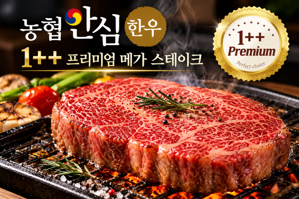 농협안심한우 1++ 프리미엄 메가 스테이크 600g 가격과 특징 제품 이미지